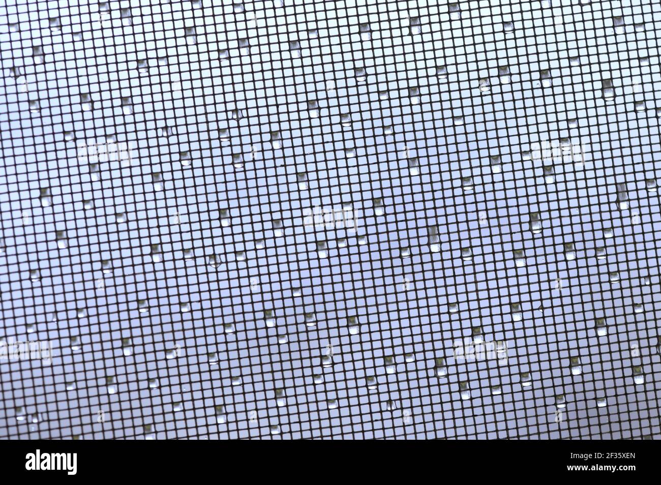 Primo piano fence con Dew Drops After Rain Foto Stock