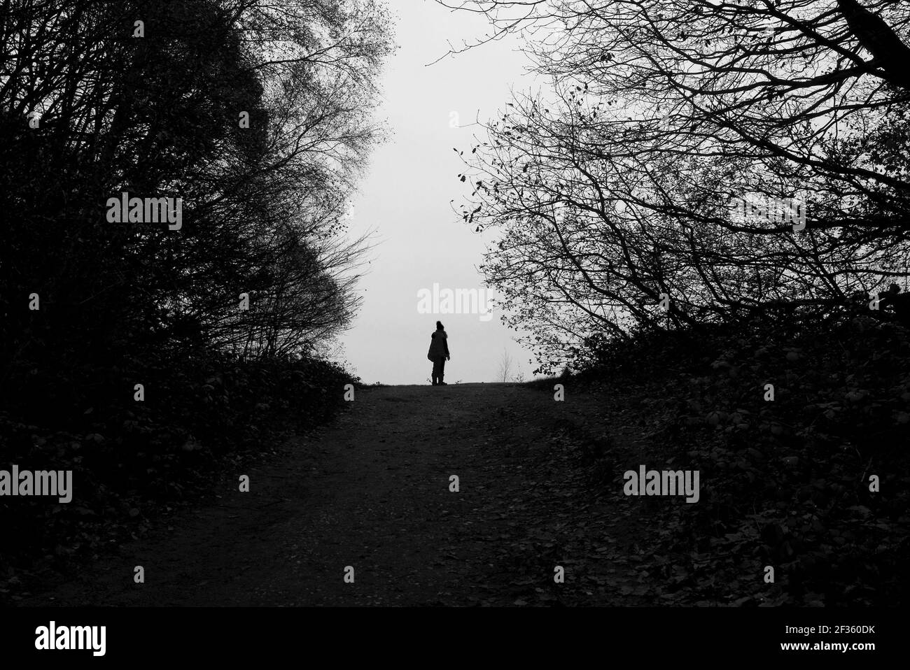 silhouette di figura solitaria in piedi su sentiero boscoso all'orizzonte punto Foto Stock