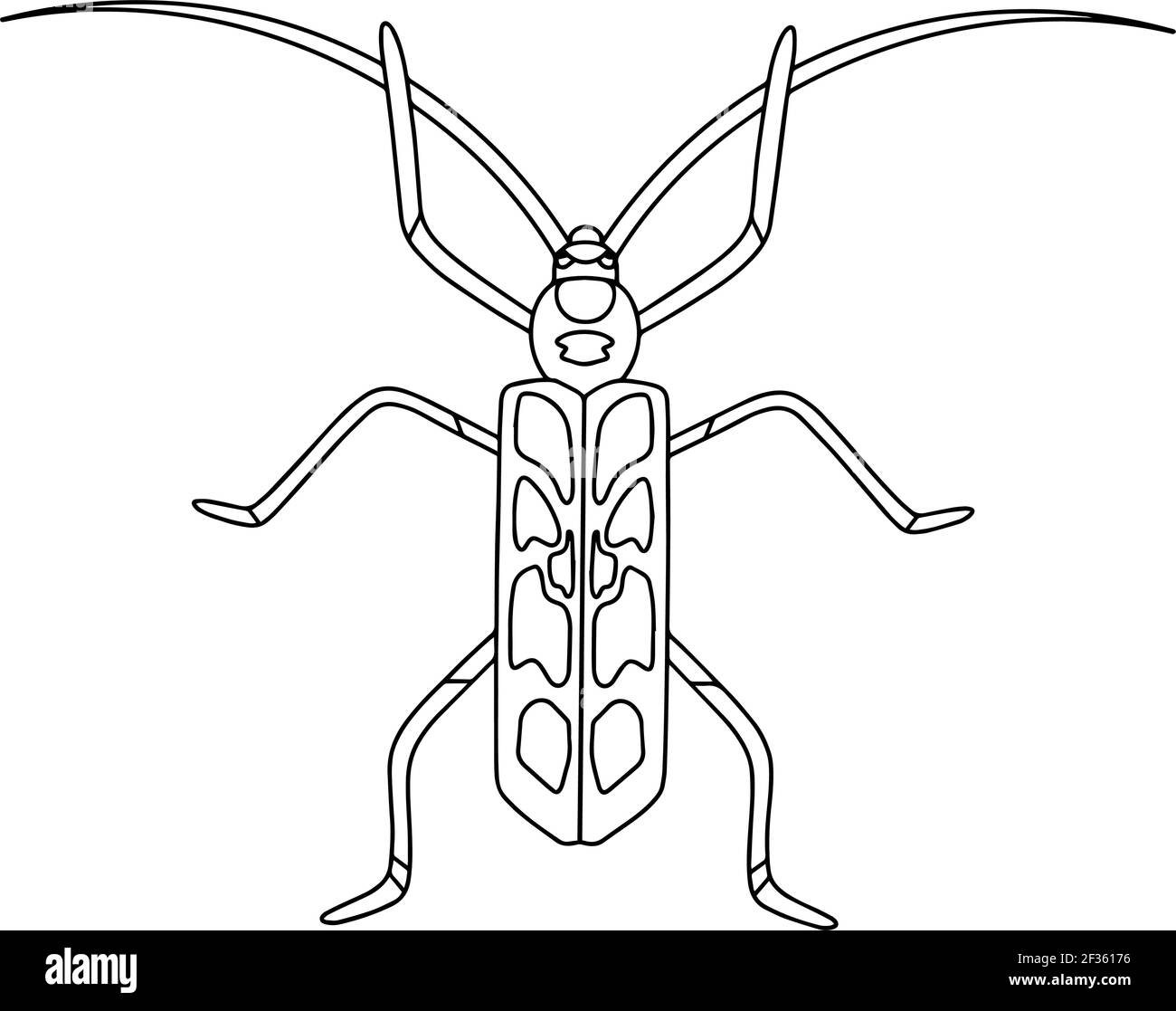 Libro da colorare di Beetle-insetto. Scarabeo alpino Immagine e Vettoriale  - Alamy