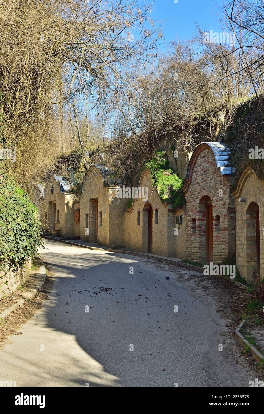 Cantine storiche di Nyul, piccolo villaggio in Ungheria, verticale Foto Stock