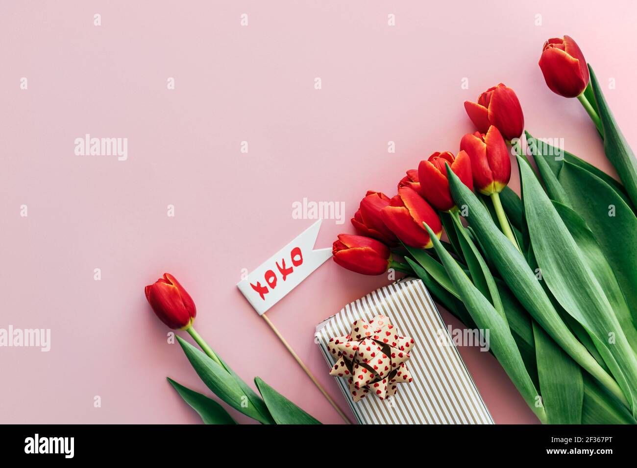 Festoso fiore sfondo primavera. Sulla superficie rosa si trova un regalo, tulipani rossi, spazio per il testo. Foto Stock