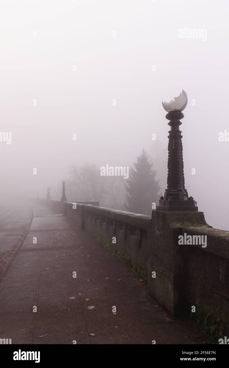 Marshall Park a Seattle in una mattina nebbia. Foto Stock