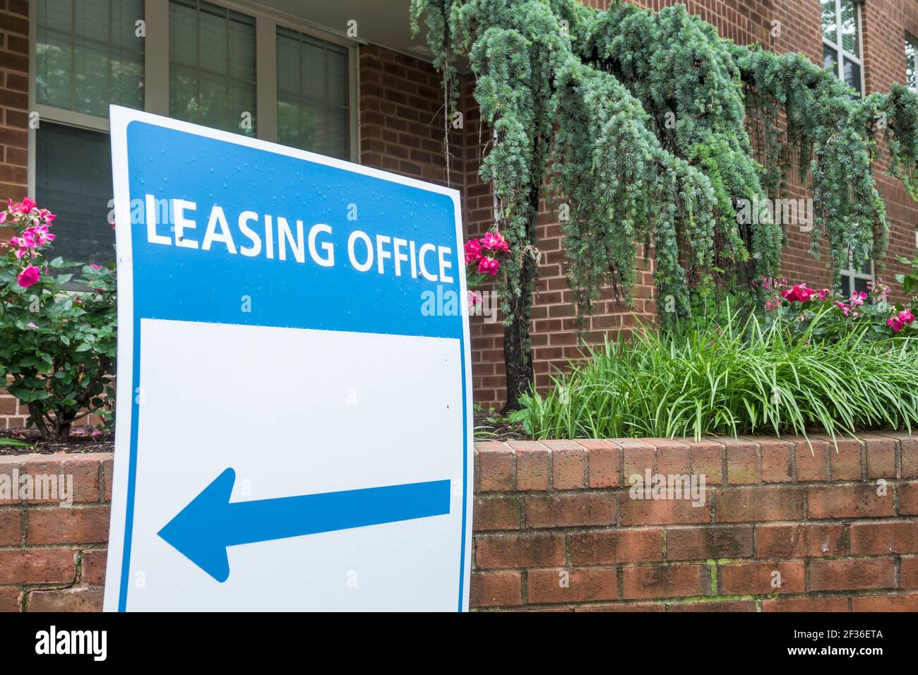 Washington DC, Logan Circle, affitto di quartiere appartamenti cartello ufficio, Foto Stock