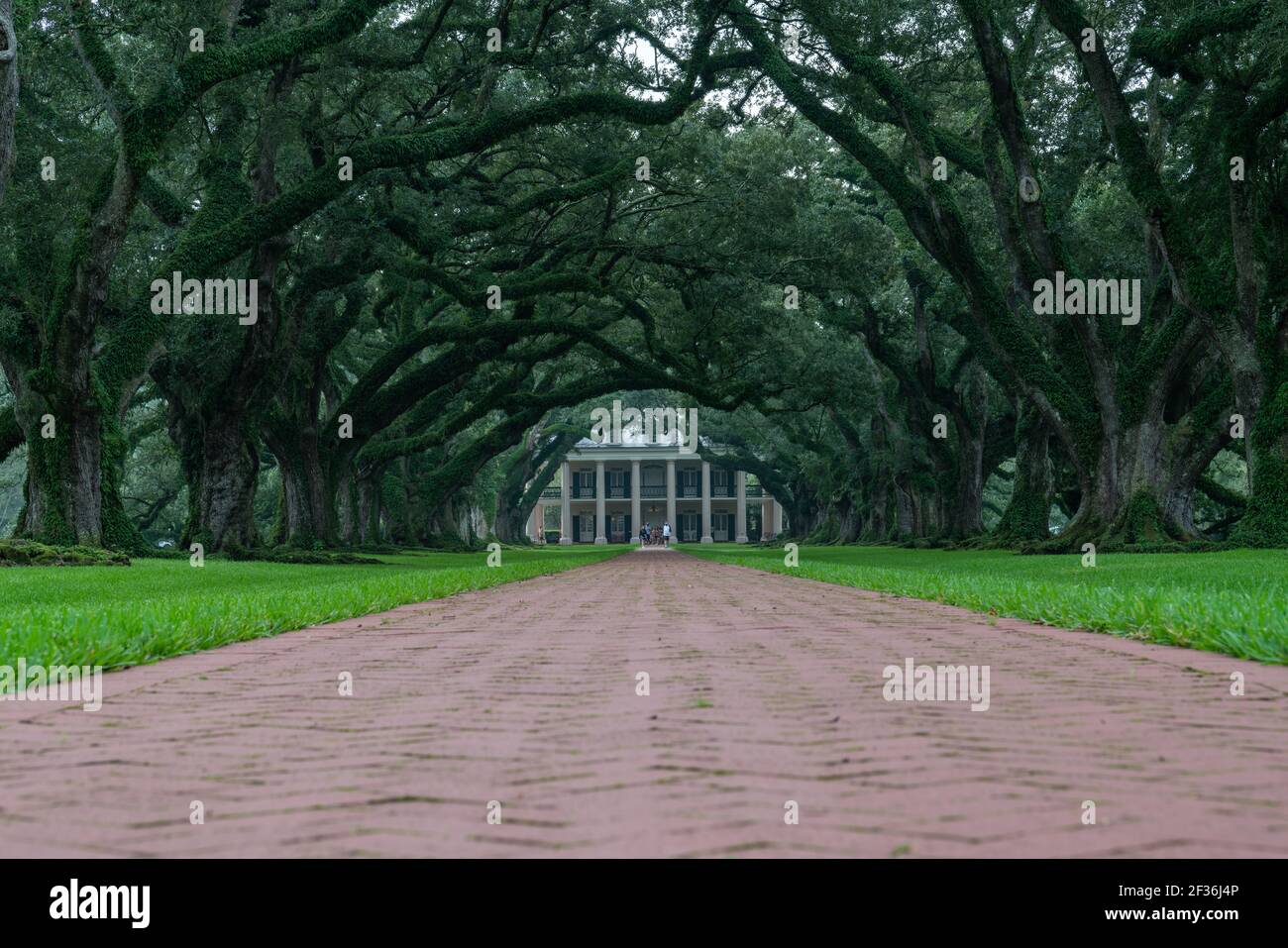 Oak Alley Plantation Foto Stock
