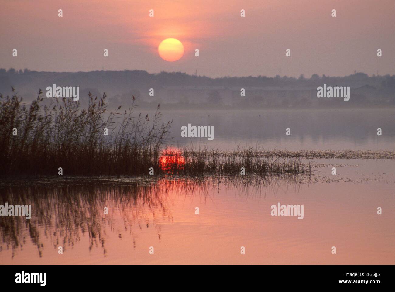 Tallinn Estonia Lago Harku tramonto scenario naturale, Foto Stock