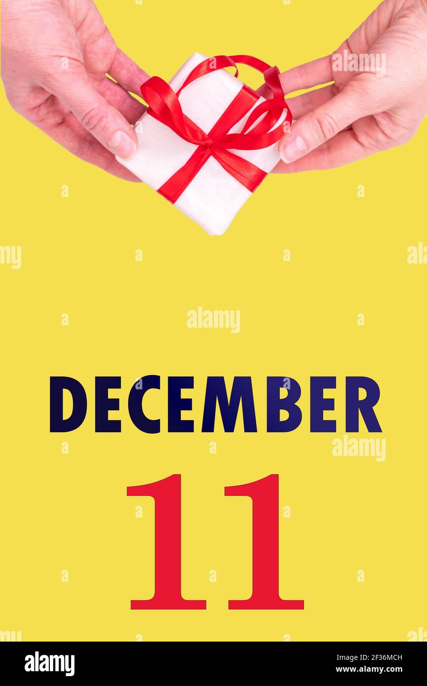 11 dicembre. Calendario verticale festivo con mani che tiene Bianco scatola regalo con nastro rosso e calendario Data 11 dicembre su illuminante giallo Backgr Foto Stock