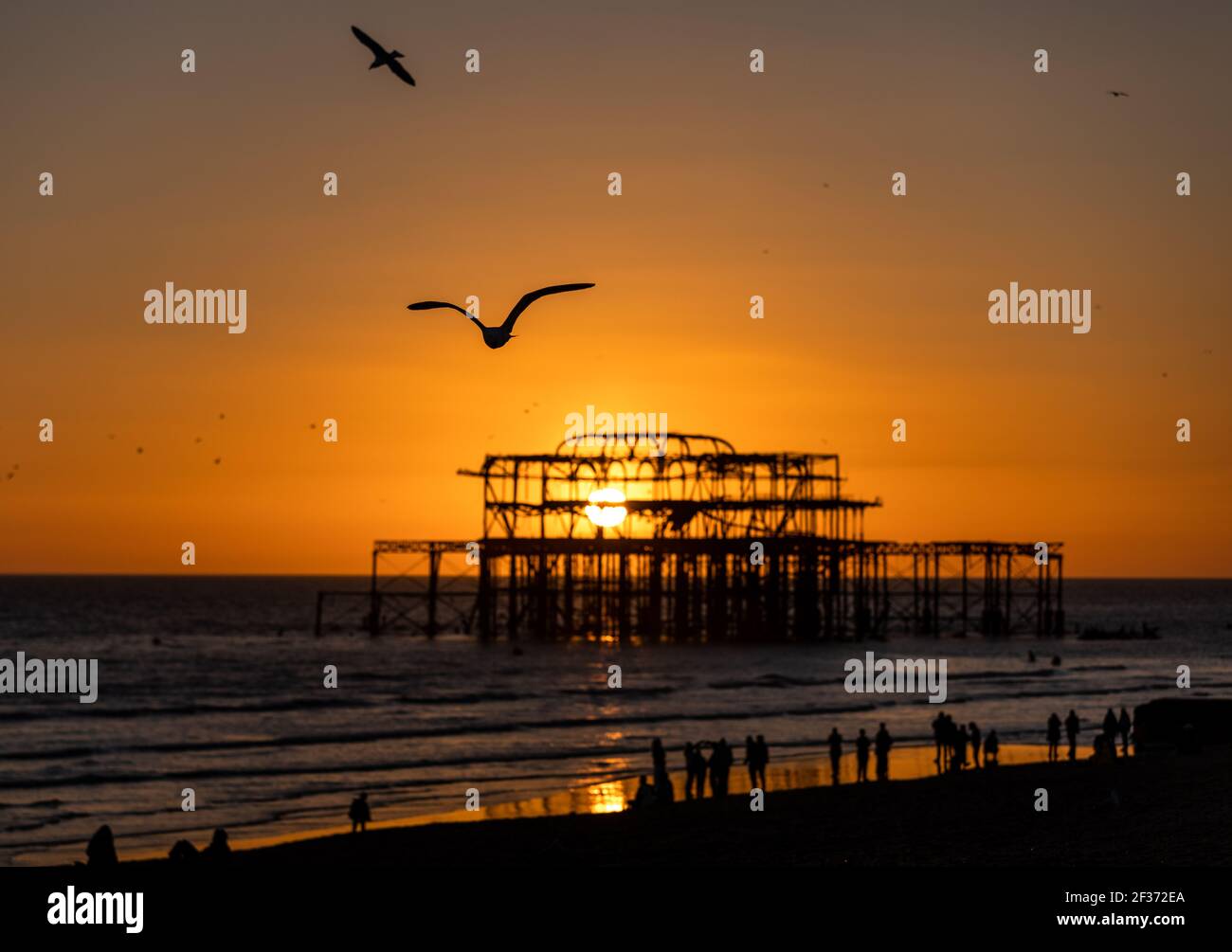 Una seagullÕs che vola sopra il molo ovest di Brighton mentre la gente gode il tramonto nel Sussex occidentale Foto Stock