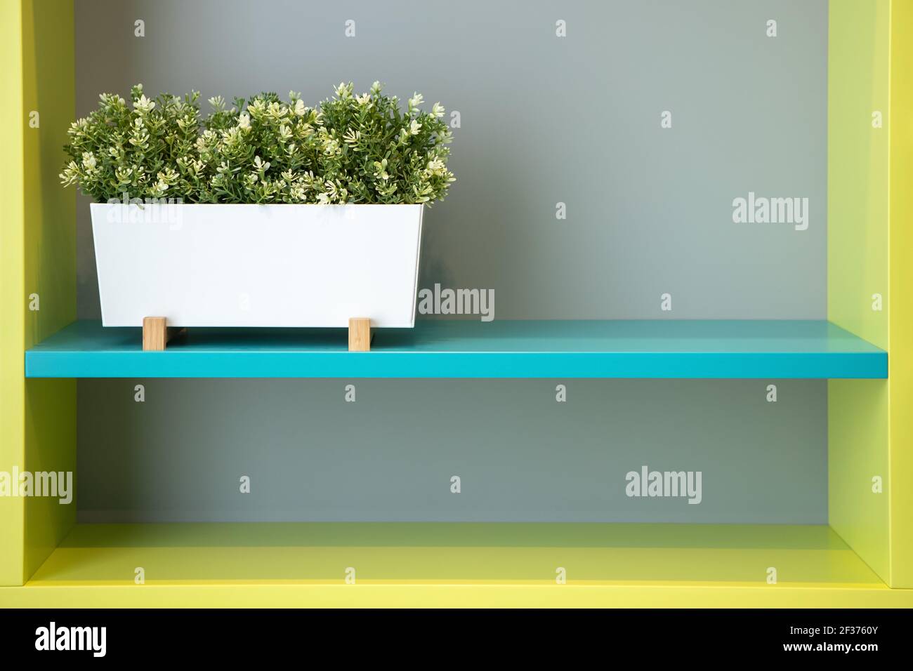 Sfondo interno, spazio di copia. Piantatrice con pianta su scaffale, in armadio in colori verde-blu, in sala giochi per bambini. Vista frontale, spazio di copia. Derisione Foto Stock