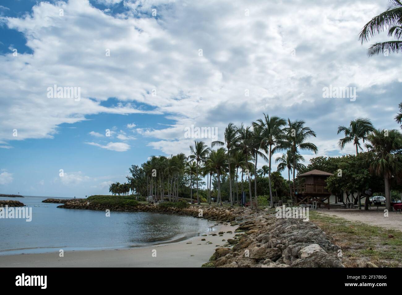 Marina e parco con palme, erba, acqua nella contea di Palm Beach, Florida parte del Florida Fish and Wildlife con marciapiede, passerelle e ponte Foto Stock