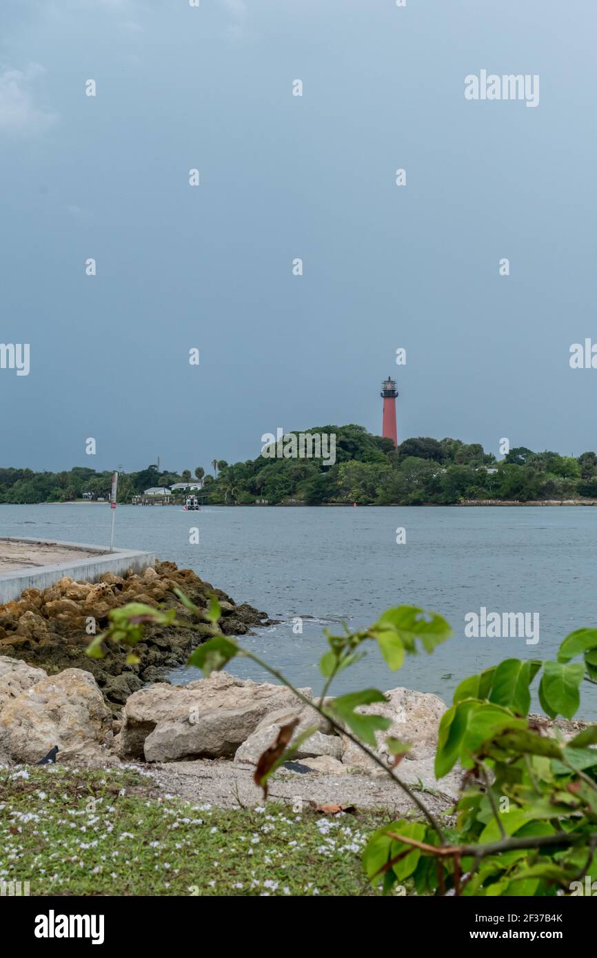 Marina e parco con palme, erba, acqua nella contea di Palm Beach, Florida parte del Florida Fish and Wildlife con marciapiede, passerelle e ponte Foto Stock