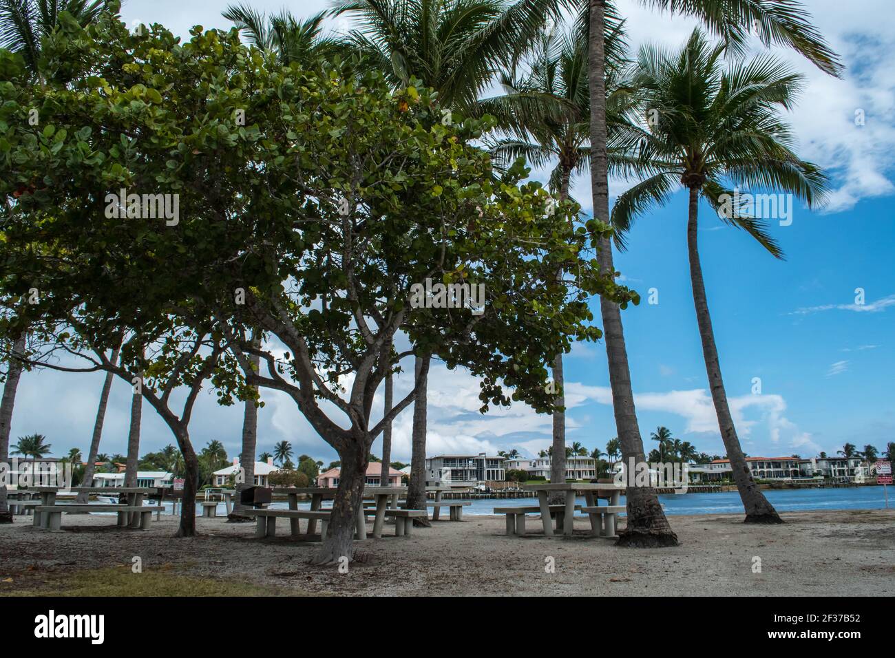 Marina e parco con palme, erba, acqua nella contea di Palm Beach, Florida parte del Florida Fish and Wildlife con marciapiede, passerelle e ponte Foto Stock