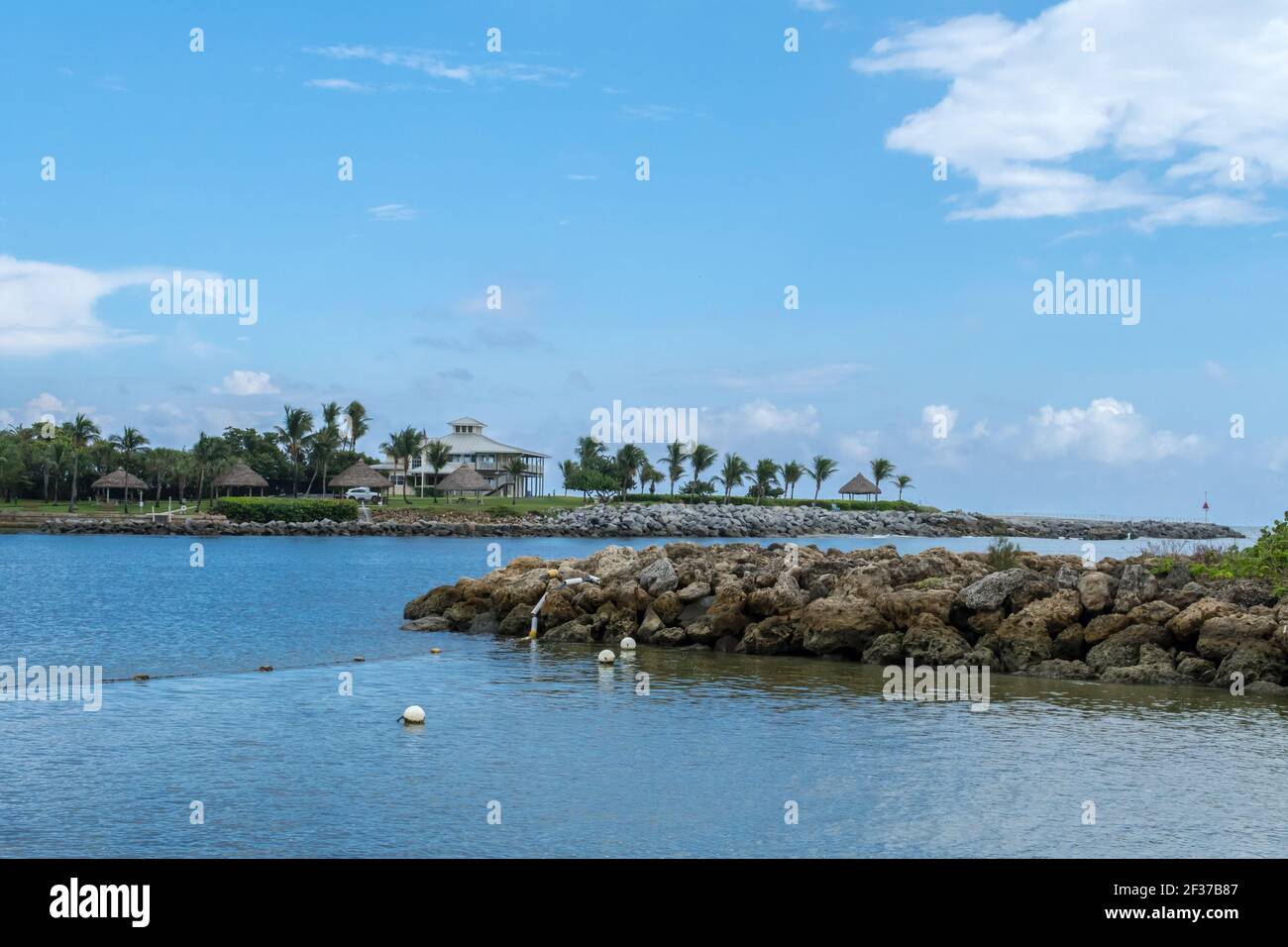 Marina e parco con palme, erba, acqua nella contea di Palm Beach, Florida parte del Florida Fish and Wildlife con marciapiede, passerelle e ponte Foto Stock