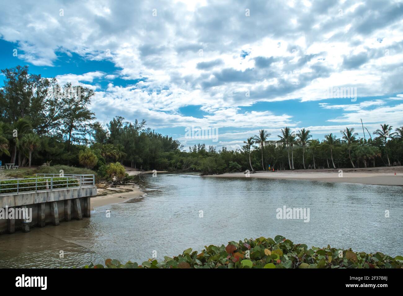 Marina e parco con palme, erba, acqua nella contea di Palm Beach, Florida parte del Florida Fish and Wildlife con marciapiede, passerelle e ponte Foto Stock
