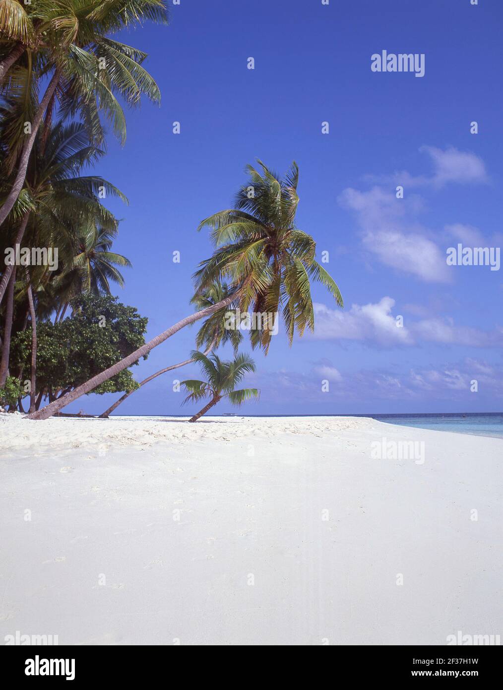 Tropical Beach, Kuda Bandos Island, Kaafu Atoll, Repubblica delle Maldive Foto Stock