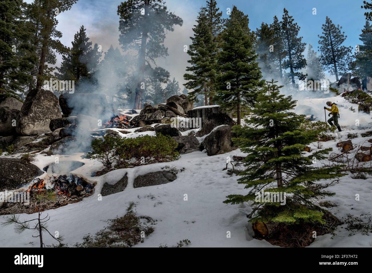 11 febbraio 2021, South Lake Tahoe, California, USA: Un pompiere usa un rastrello mentre si prepara ad accendere un mucchio ad una ustione prescritta al Van Sickle Bi-state Park nel South Lake Tahoe. "Questi progetti sono stati progettati per ridurre al minimo i rischi di incendio, non possiamo eliminarli", ha affermato Milan Yeates, della California Tahoe Conservancy. (Immagine di credito: © Renee C. Byer/Sacramento Bee via ZUMA Wire) Foto Stock