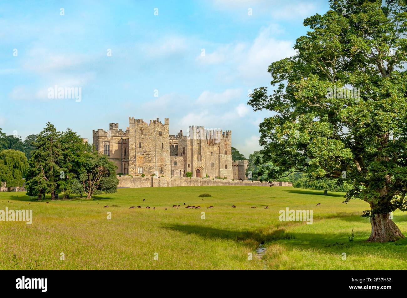 Raby Castle vicino a Staindrop nella contea di Durham in Inghilterra Foto Stock