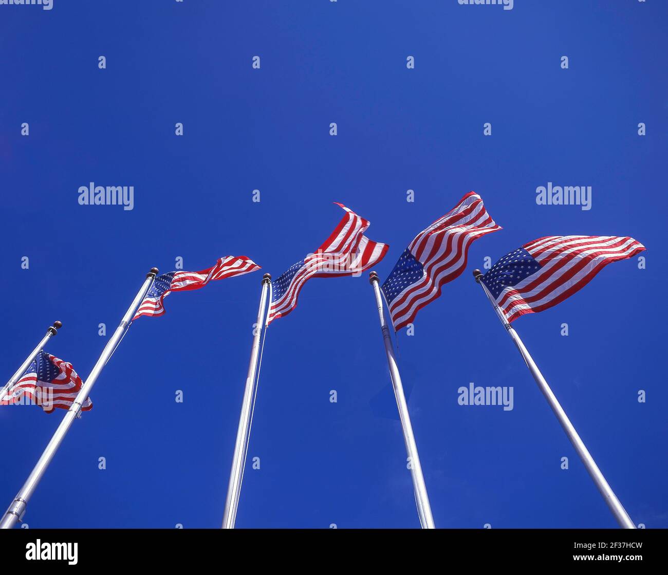 'Stars & Stripes' US Flags, Downtown, Los Angeles, California, Stati Uniti d'America Foto Stock