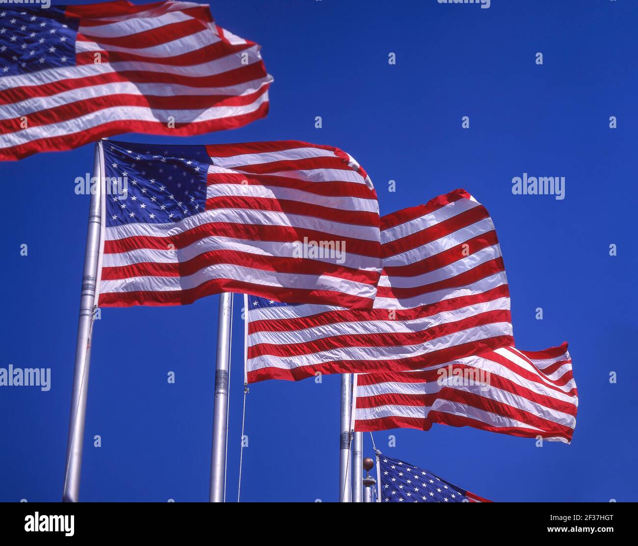 'Stars & Stripes' USA Flags, Downtown, Los Angeles, California, Stati Uniti d'America Foto Stock