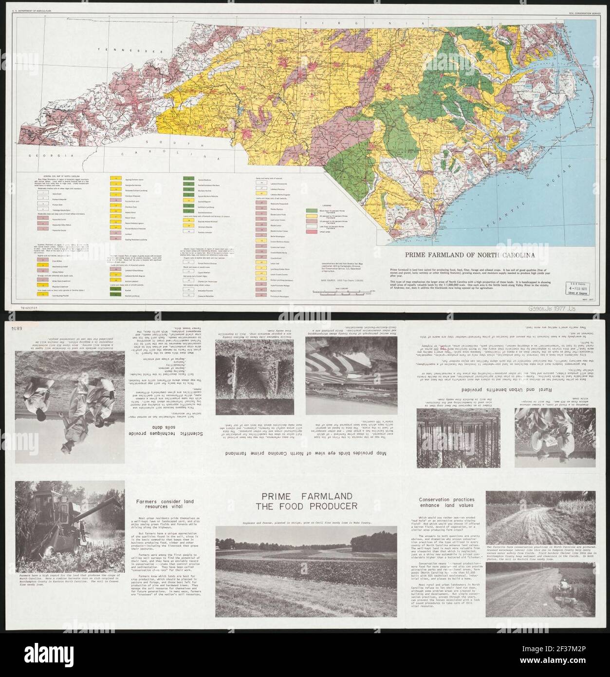 Terreni agricoli di prima qualità della Carolina del Nord. Foto Stock