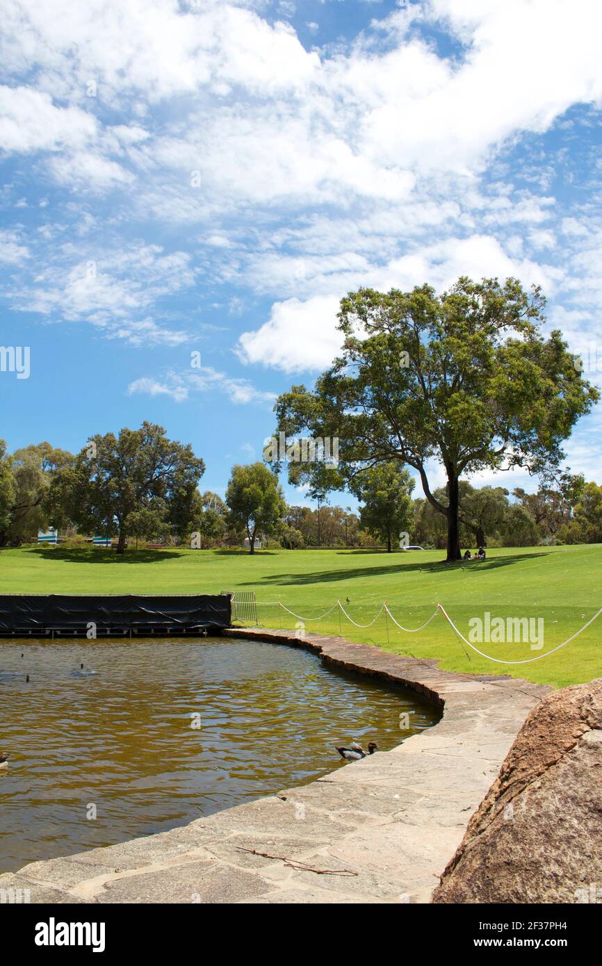 parco australiano con un lago e un albero Foto Stock