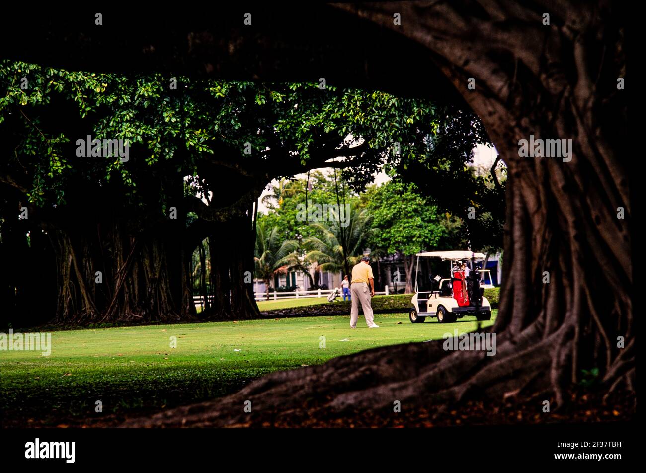 Golf, Coral Gables Coral Gables, Florida Foto Stock