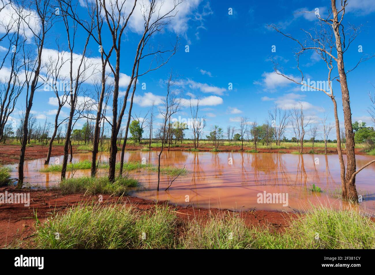 Pozza di fango rosso dopo una tempesta nell'Outback Australiano dopo una tempesta, vicino a Thallon, Queensland, QLD, Australia Foto Stock
