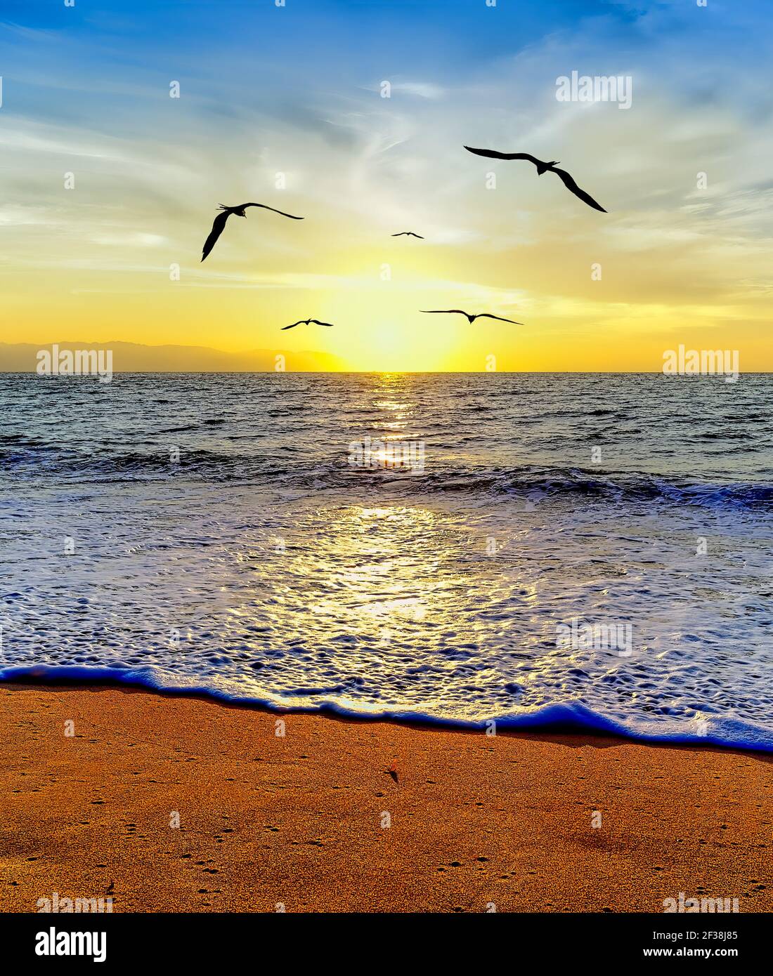 Un gruppo di uccelli stanno volando verso il Sole Setting Su Ocean Horizon in un'immagine in formato verticale Foto Stock