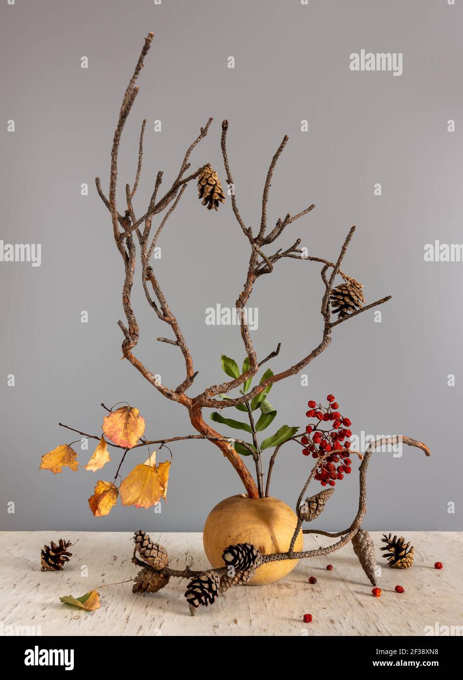 composizione di rami di pino con coni, bacche di rowan e un ramo con foglie d'autunno. Foto Stock