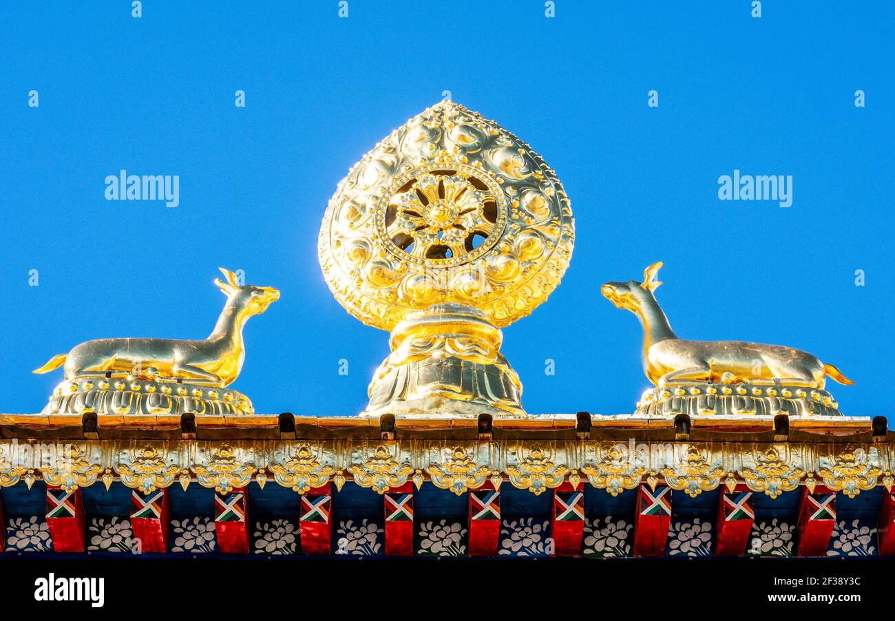 Dharmachakra o Dharma Wheel con due cervi un buddista tibetano Cartello in cima al monastero di Songzanlin sopra il cielo azzurro In Cina Shangri-la Yunnan Foto Stock