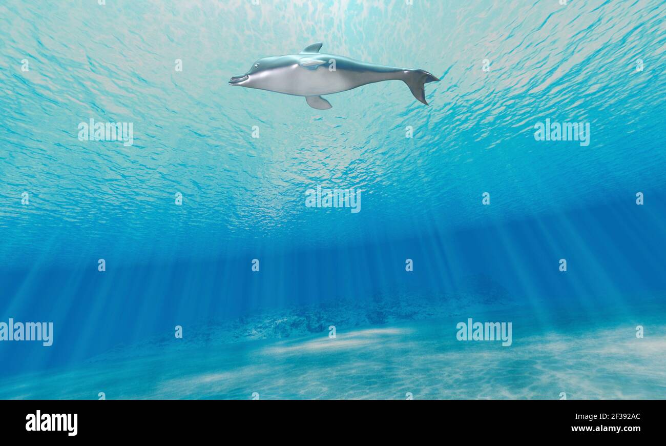 Il delfino Foto Stock