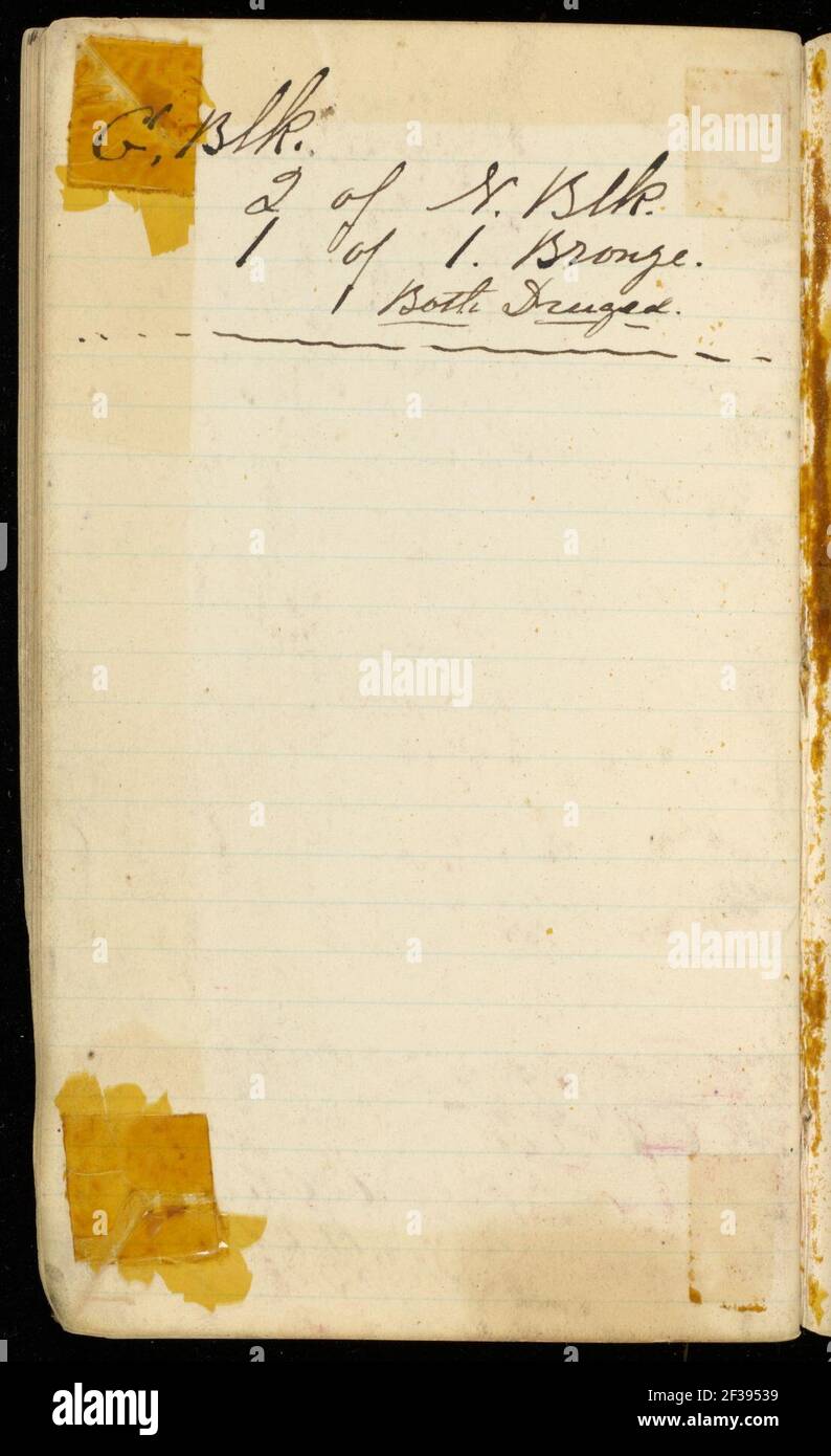 Libro di esempio della stampante, Libro dei colori 20. 1883, 1883 Foto Stock