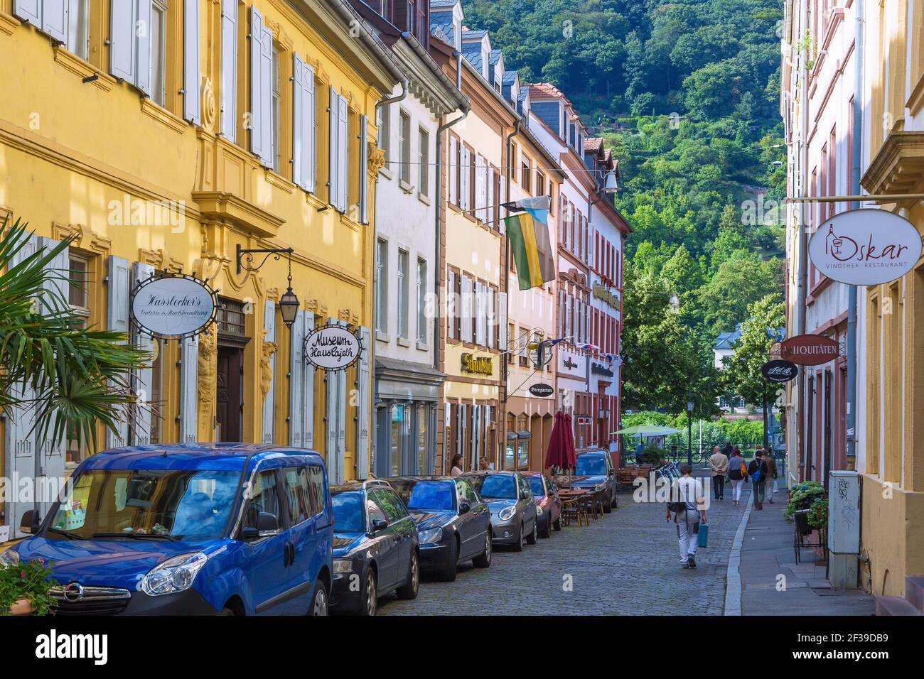 Geografia / viaggio, Germania, Baden-Wuerttemberg, Heidelberg, Haspelgasse (Haspel Alley), Informazioni-aggiuntive-diritti-liquidazione-non-disponibili Foto Stock