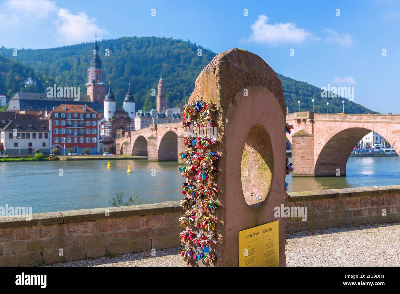 Geografia / viaggio, Germania, Baden-Wuerttemberg, Heidelberg, vista dalle terrazze del Nepomuk con Heide, Additional-Rights-Clearance-Info-non-disponibile Foto Stock