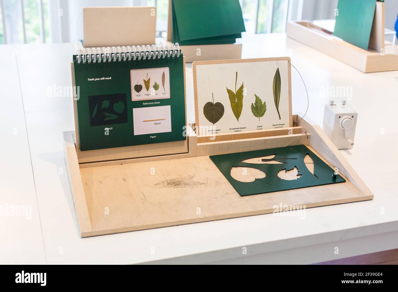 I materiali di disegno su tavola bianca per i bambini espandono la loro mente creativa. Singapore Foto Stock