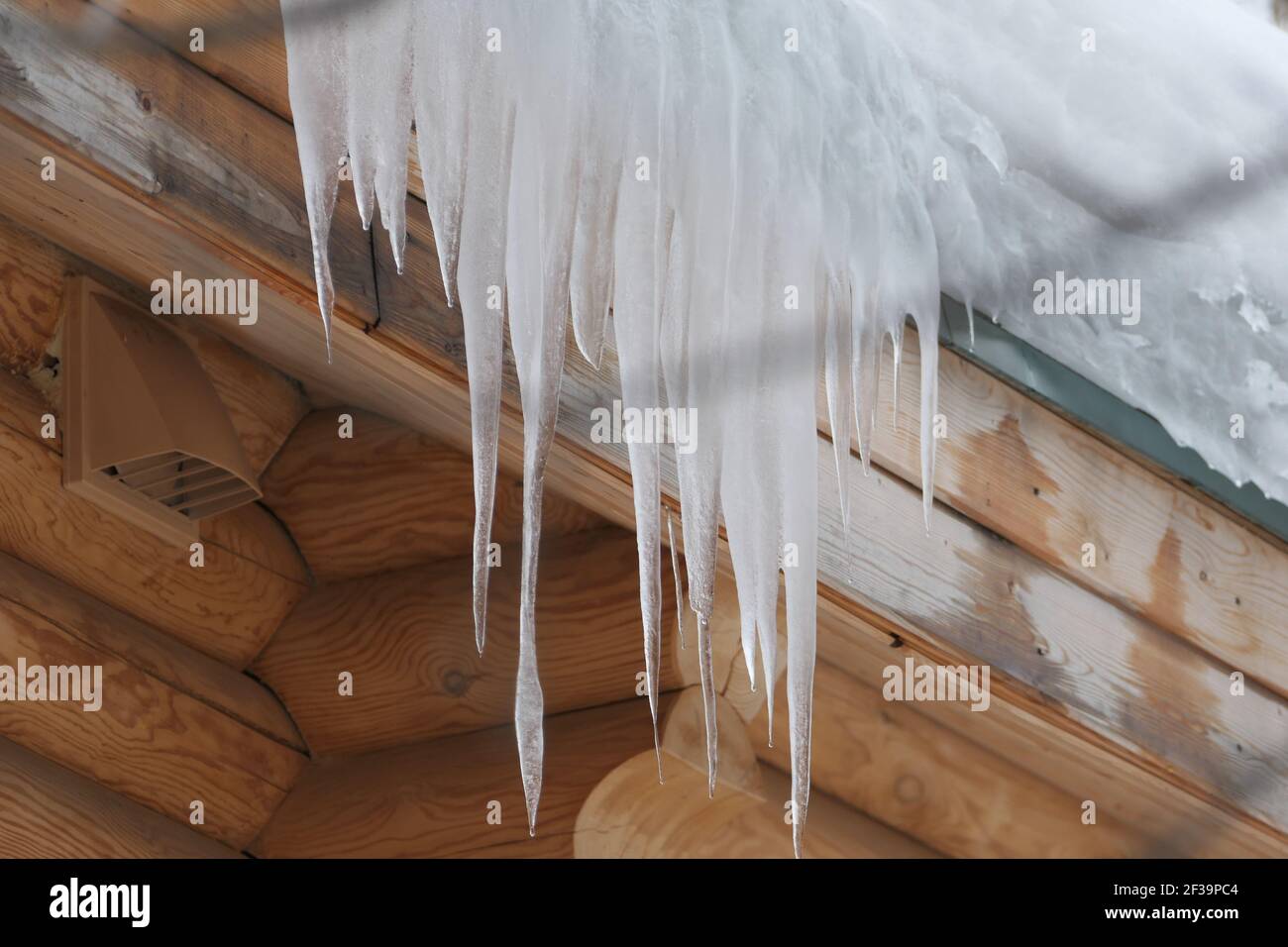 Grandi icicles appendono dal tetto di una casa di tronchi. Gelo invernale e gocce di primavera Foto Stock