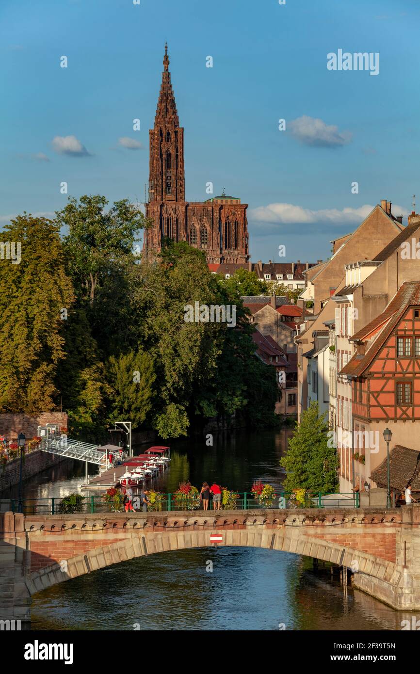 Strasburgo (Francia nord-orientale): Cattedrale cattolica di Strasburgo in architettura romanica, tra i migliori esempi di gotico raionnante Foto Stock