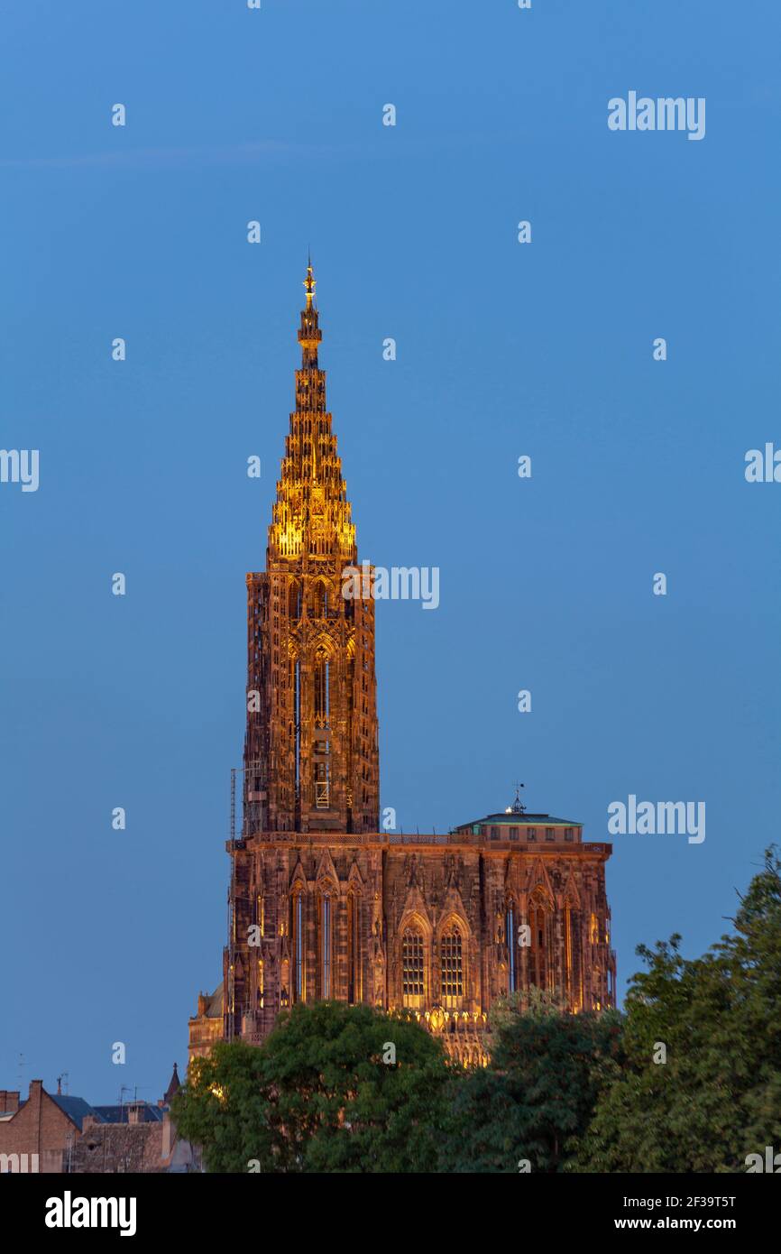 Strasburgo (67): La cattedrale cattolica di Strasburgo in architettura romanica, tra i migliori esempi di architettura gotica rayonnant Foto Stock