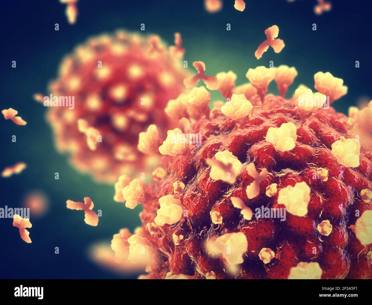 Il Coronavirus è un virus altamente contagioso che provoca gravi sindrosi respiratorie acute. La pandemia globale COVID-19 è causata dalla SARS COV-2. Foto Stock