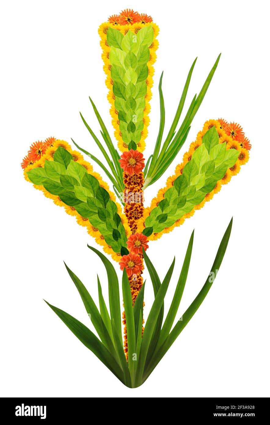 Simbolo nativo di orecchio verde di grano fatto da fiori. Collage fotografico isolato fatto a mano Foto Stock