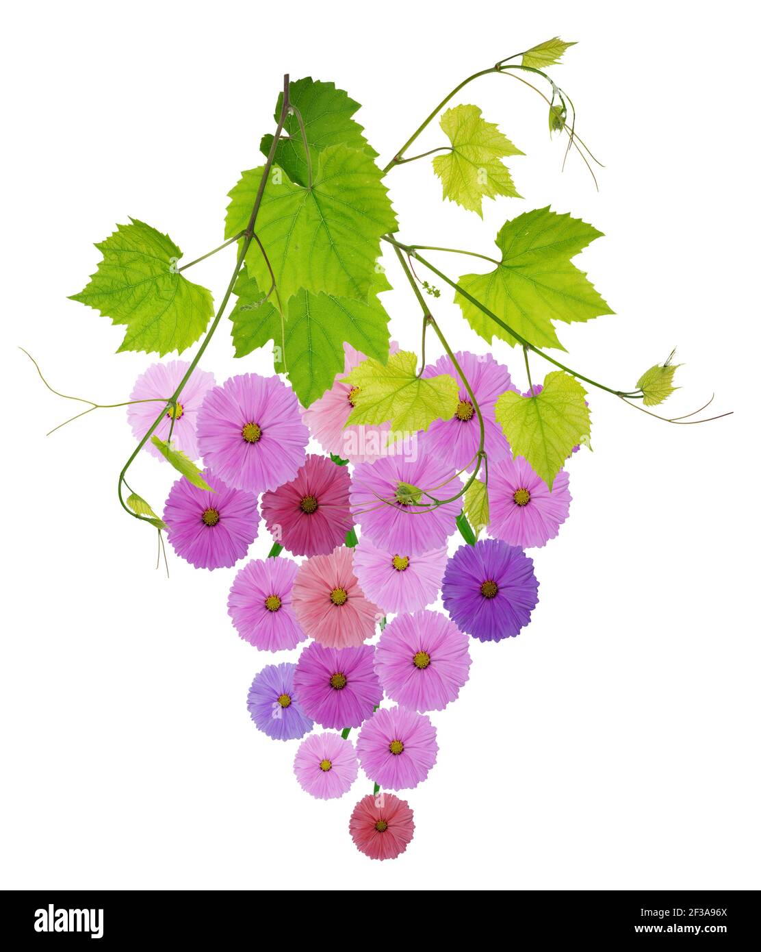 Simbolo nativo di mazzo di uve fatte di fiori. Collage fotografico isolato fatto a mano Foto Stock