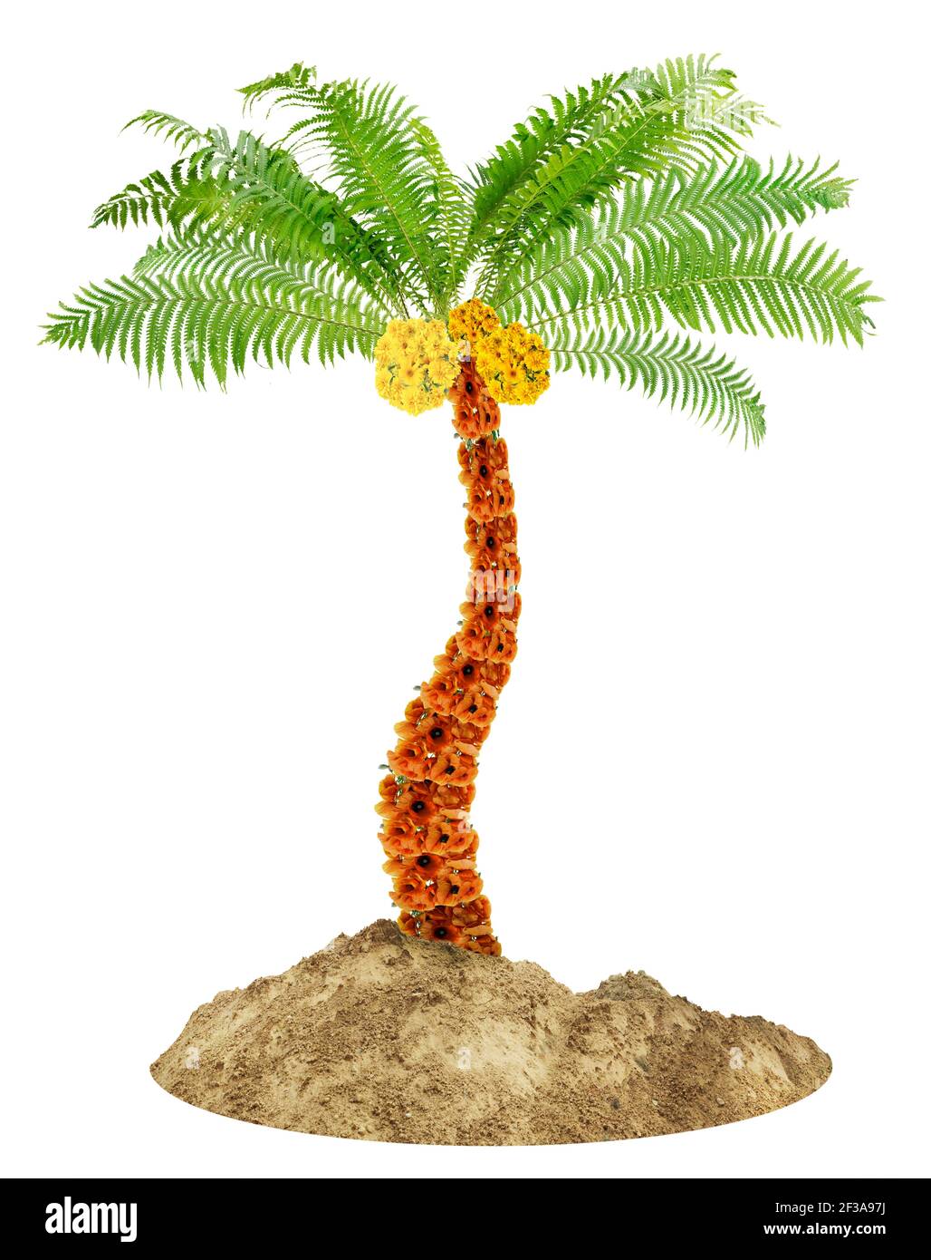 Simbolo nativo della palma fatta di fiori. Collage fotografico isolato fatto a mano Foto Stock