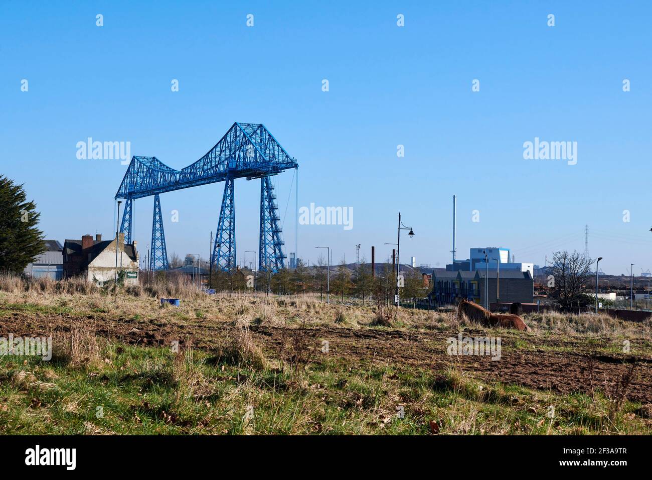 Area verde tra il centro di Middlesborough e il fiume Tees, Horses pascolo, ponte di trasporto in lontananza, nord-est Inghilterra, Regno Unito Foto Stock