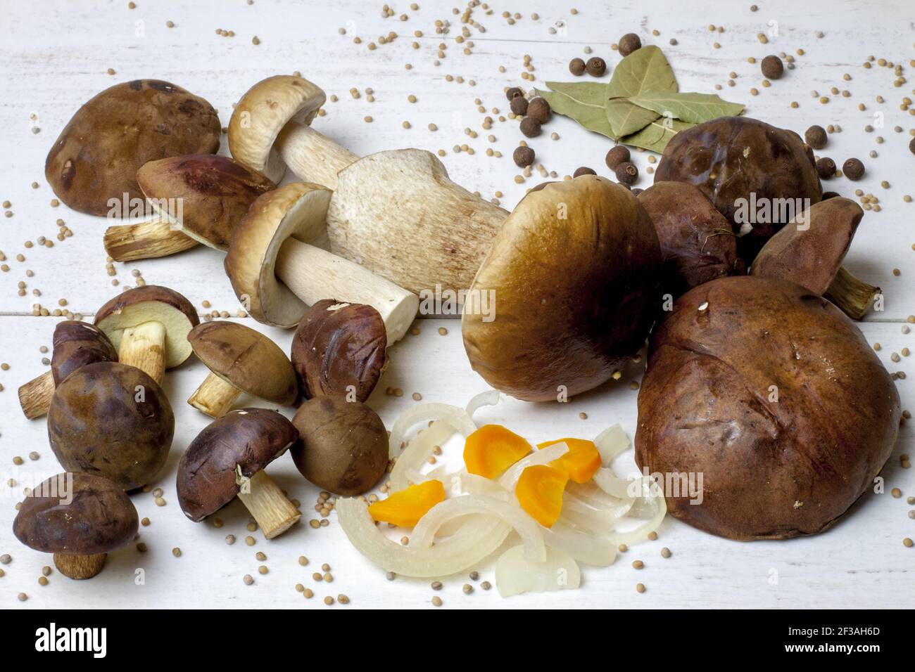 Foresta, funghi commestibili giacenti su una tavola bianca tra varie spezie che saranno utilizzate per marinare. I funghi e i boleti del boleto vanno bene con sopra Foto Stock
