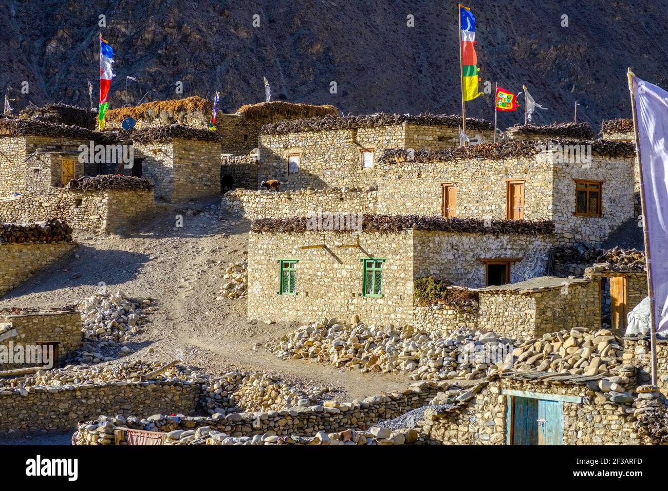 Il villaggio di Dho Tarap con le sue case tradizionalmente costruite a Dolpo, Nepal Foto Stock