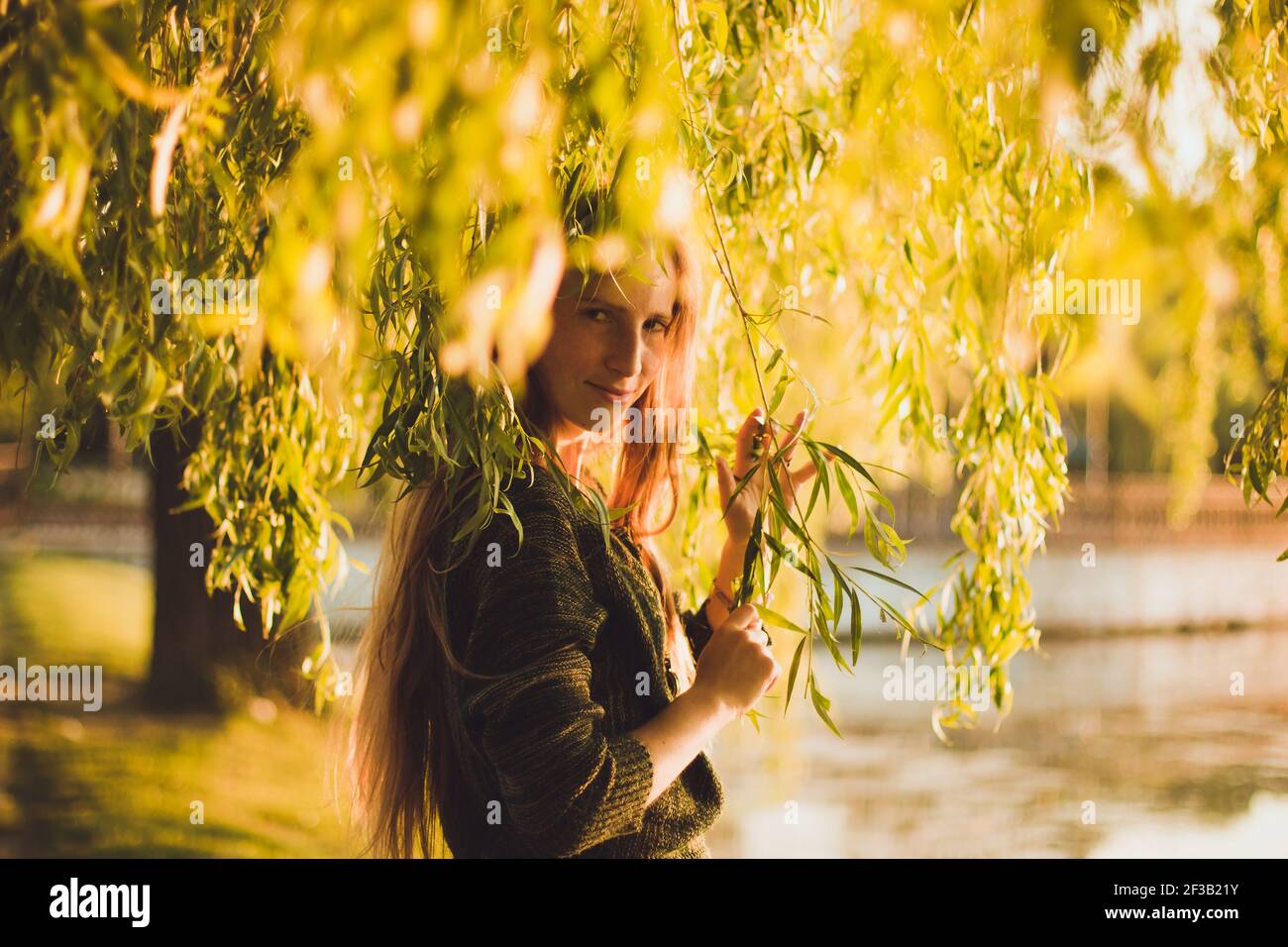 Foto di ragazza elegante in piedi tra i rami salici in un tramonto d'oro Foto Stock