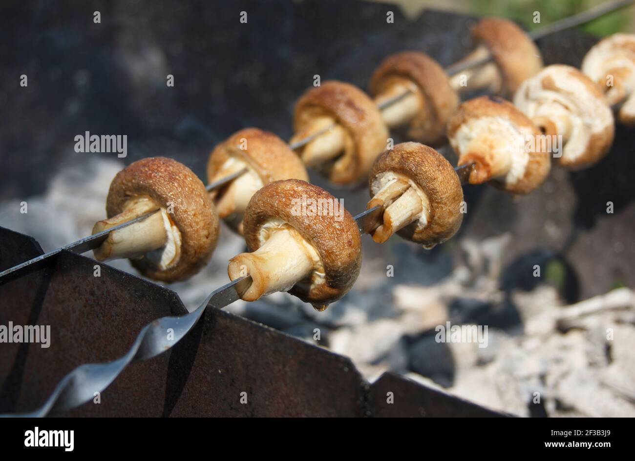 Verdure barbecue all'aperto. Champignons grigliati su spiedini all'aperto. Kebab shish vegan. Sfondo di cibo offuscato e un po' di primo piano di funghi Foto Stock