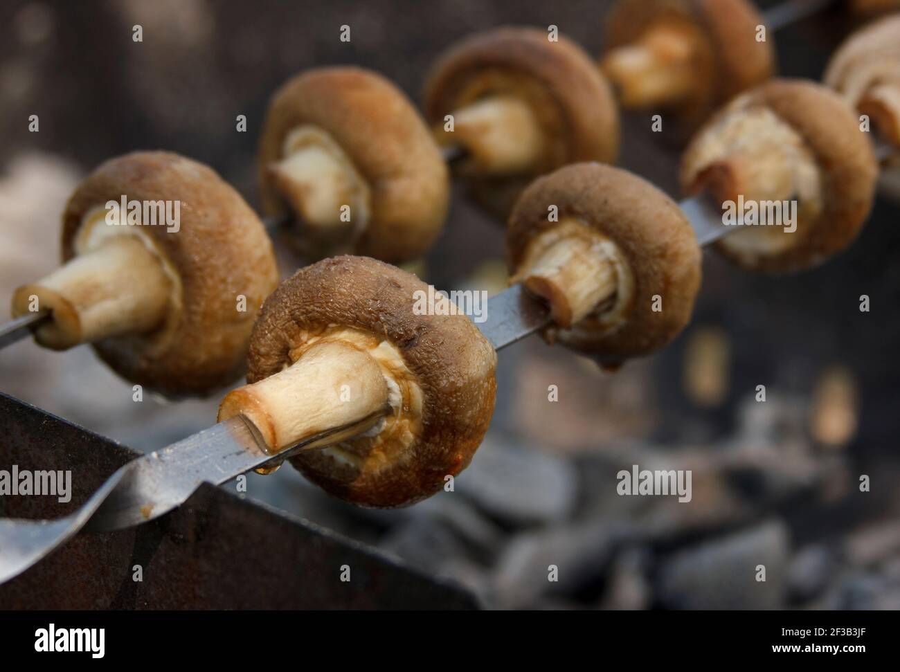 Champignons grigliati su spiedini all'aperto. Verdure barbecue all'aperto. Kebab shish vegan. Sfondo sfocato e primo piano di un fungo Foto Stock