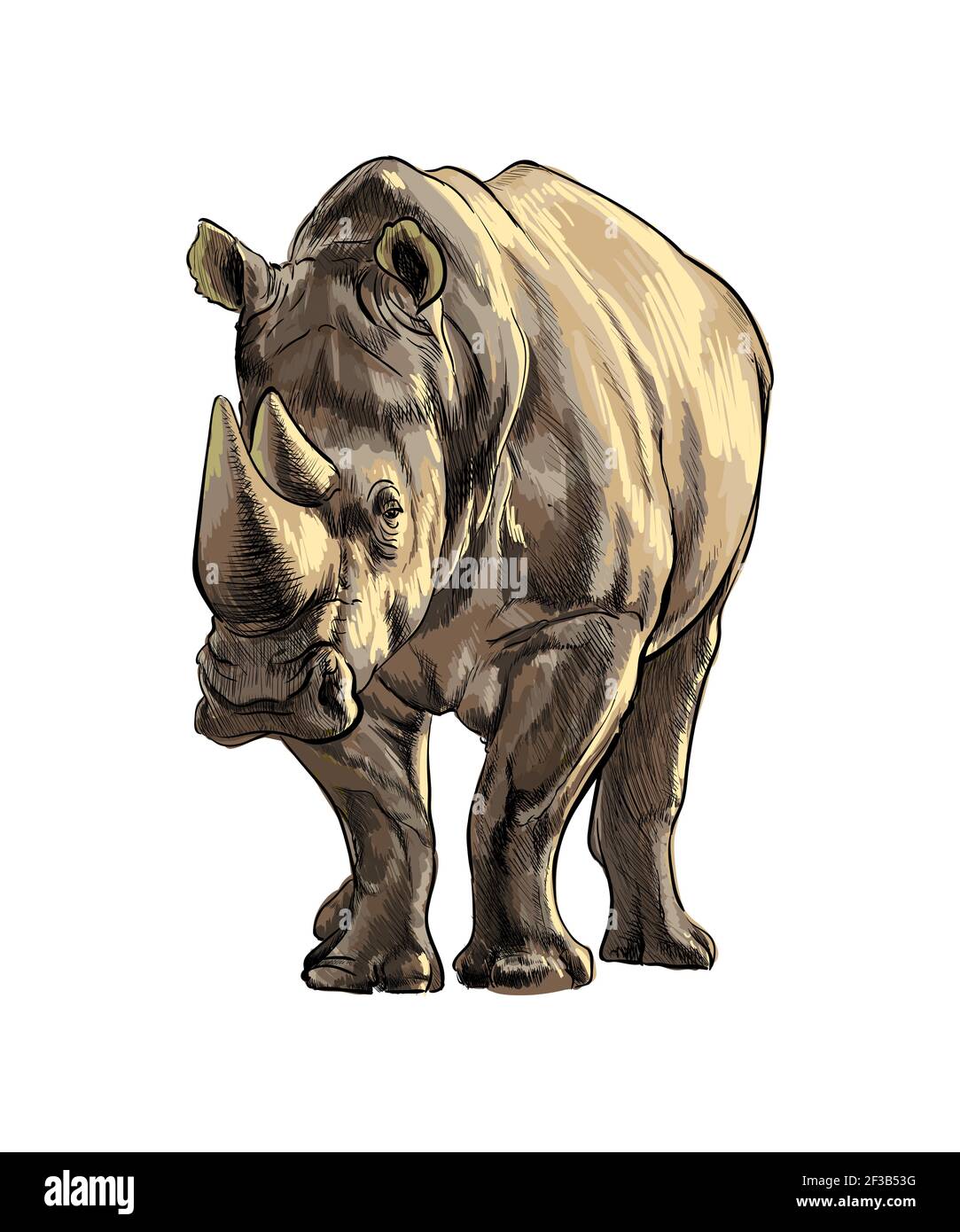 Rinoceronti da un tuffo di acquerello, disegno colorato, realistico. Illustrazione vettoriale delle vernici Illustrazione Vettoriale