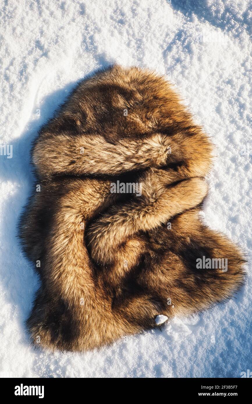 Direttamente sopra di tappeto di pelliccia sintetica su neve gelida. Concetto di estremi, contrasti, caldo e freddo Foto Stock
