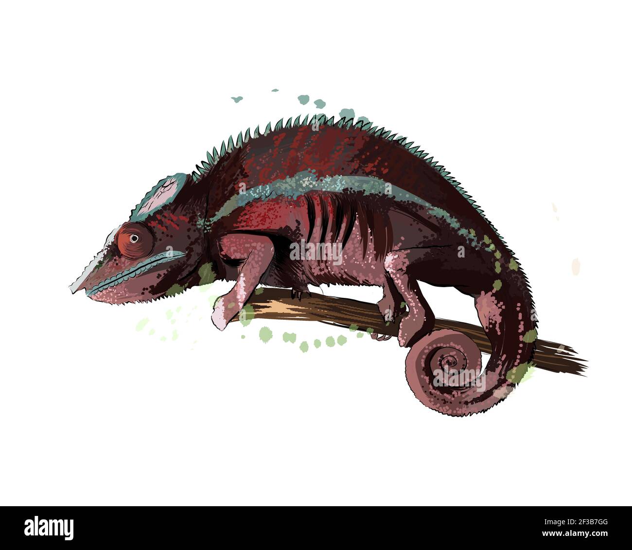 Chameleon da una spruzzata di acquerello, disegno colorato, realistico. Illustrazione vettoriale delle vernici Illustrazione Vettoriale